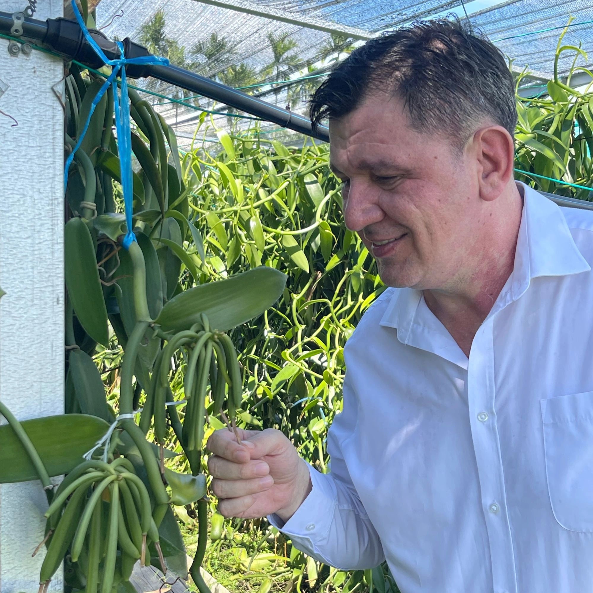 Organic Spice
TGA Founder
The Green Alchemist
The Green Alchemist About Us